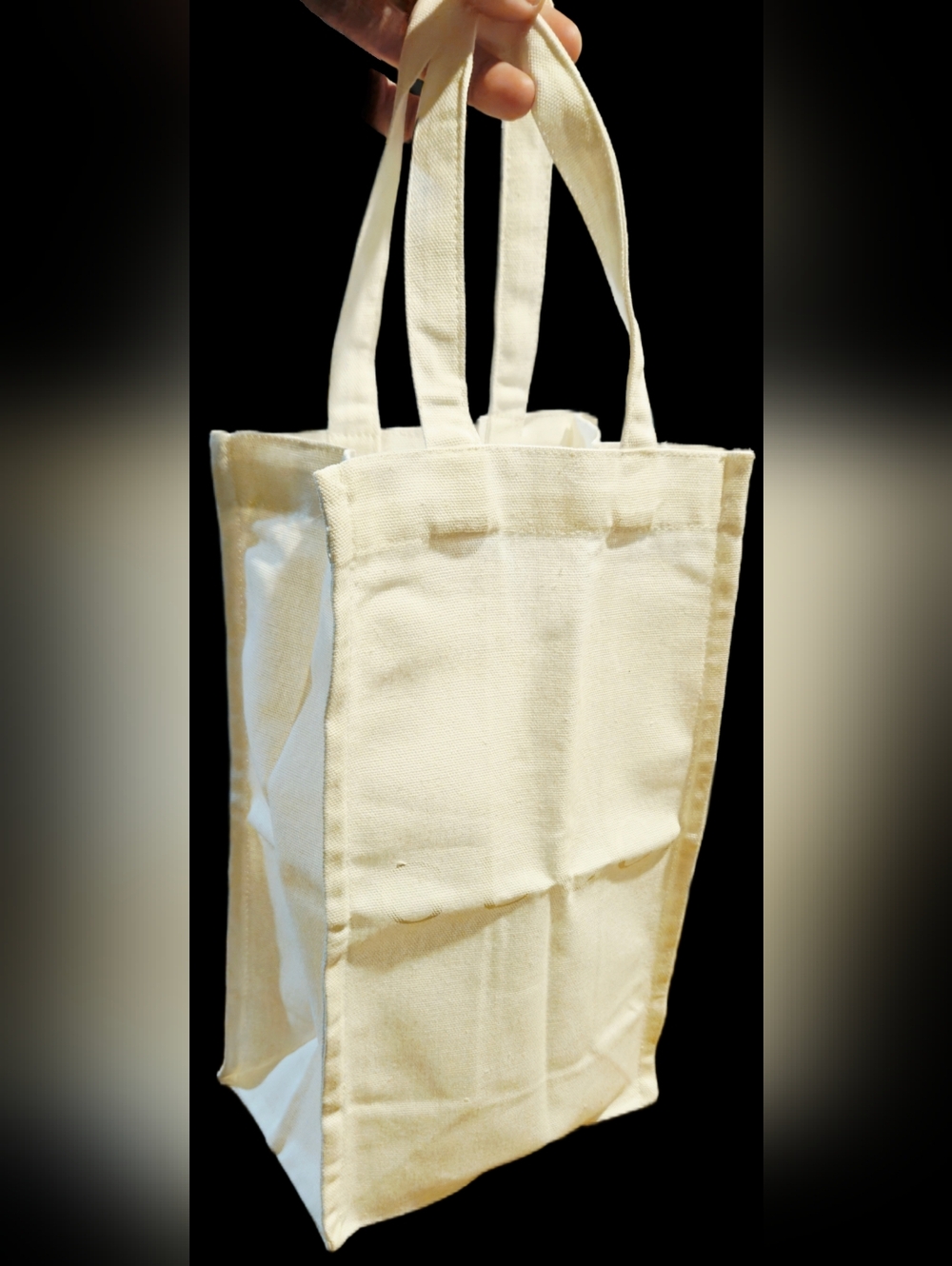 NEW Gucci Large Cream Canvas Mini Tote Dust Bag White Logo Beach Travel Storage